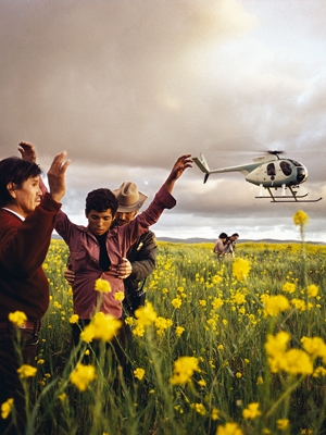 Alex Webb