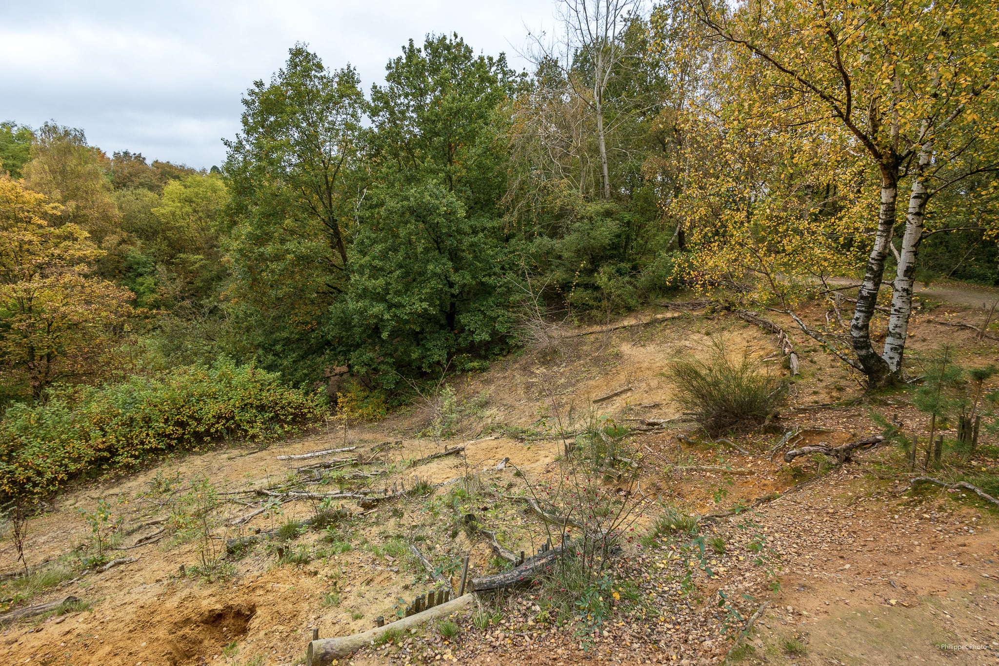 Parcs Bruxellois : Kauwberg